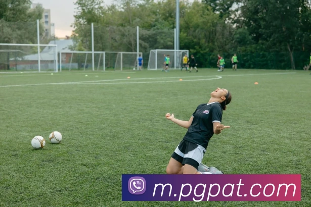 App Interface Preview